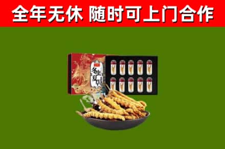 北海市烟酒回收冬虫夏草礼盒.jpg